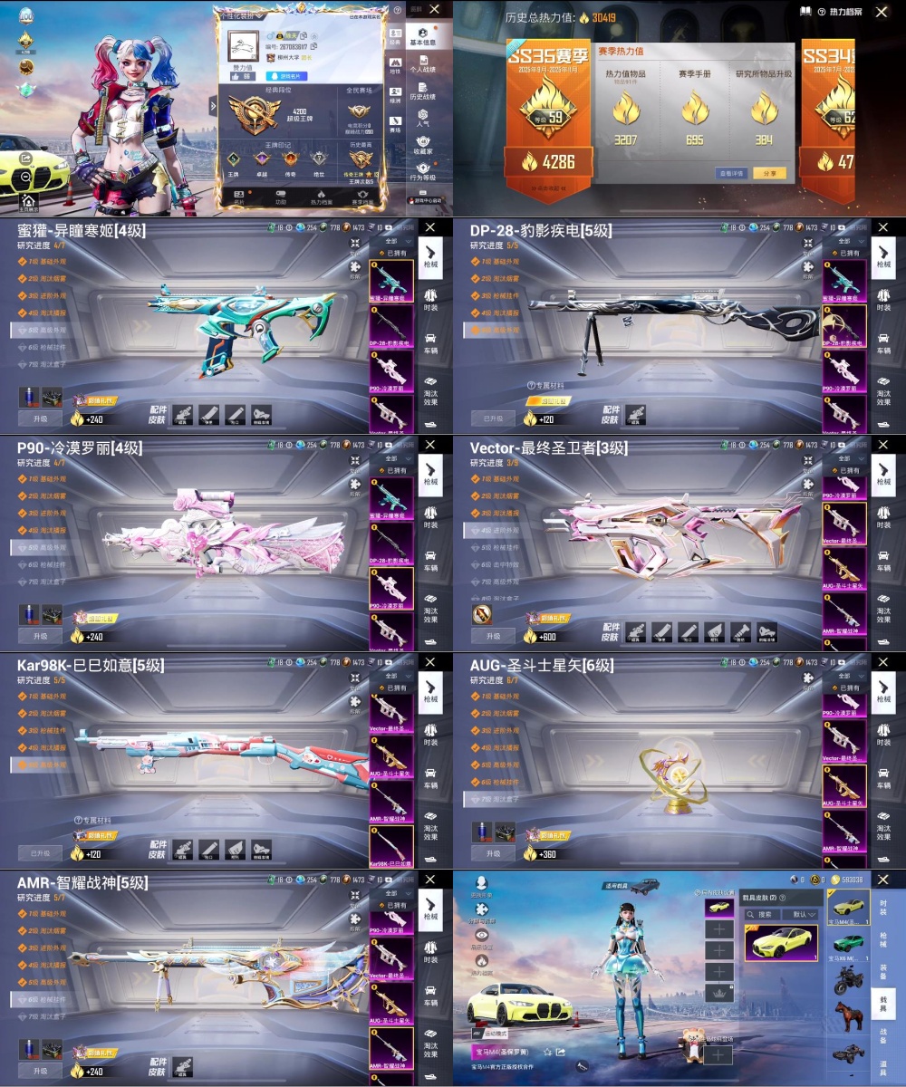 和平精英账号苹果QQ王者印记:5次 套装数：63 粉装数：6 枪械数：83 载具数：2  Kar98K-巳巳如意(5级) AMR-智耀战神(5级) AUG-圣斗士星矢(6级) P90-冷漠罗丽(4级) Vector-最终