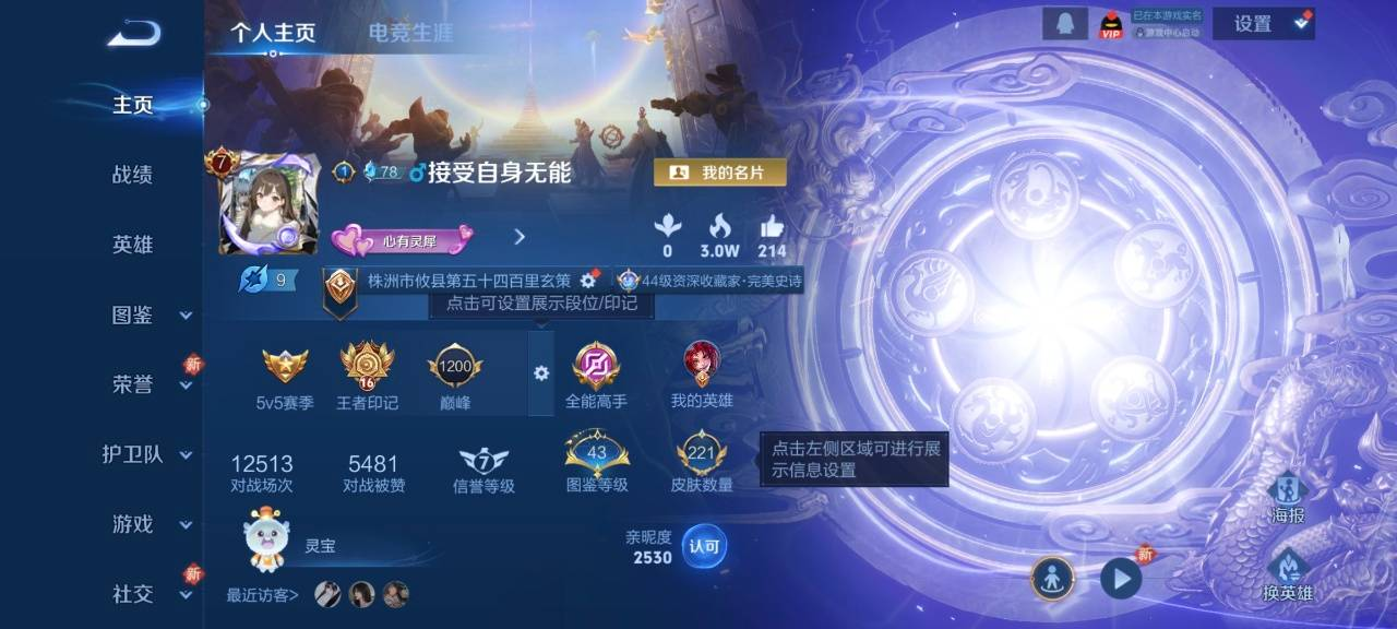 WZYXB3402668王者荣耀账号详情图8