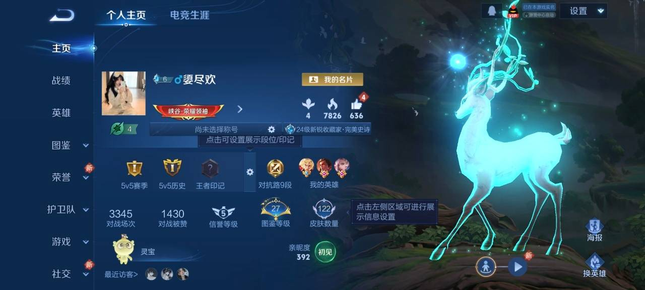 WZYXB3402550王者荣耀账号详情图8