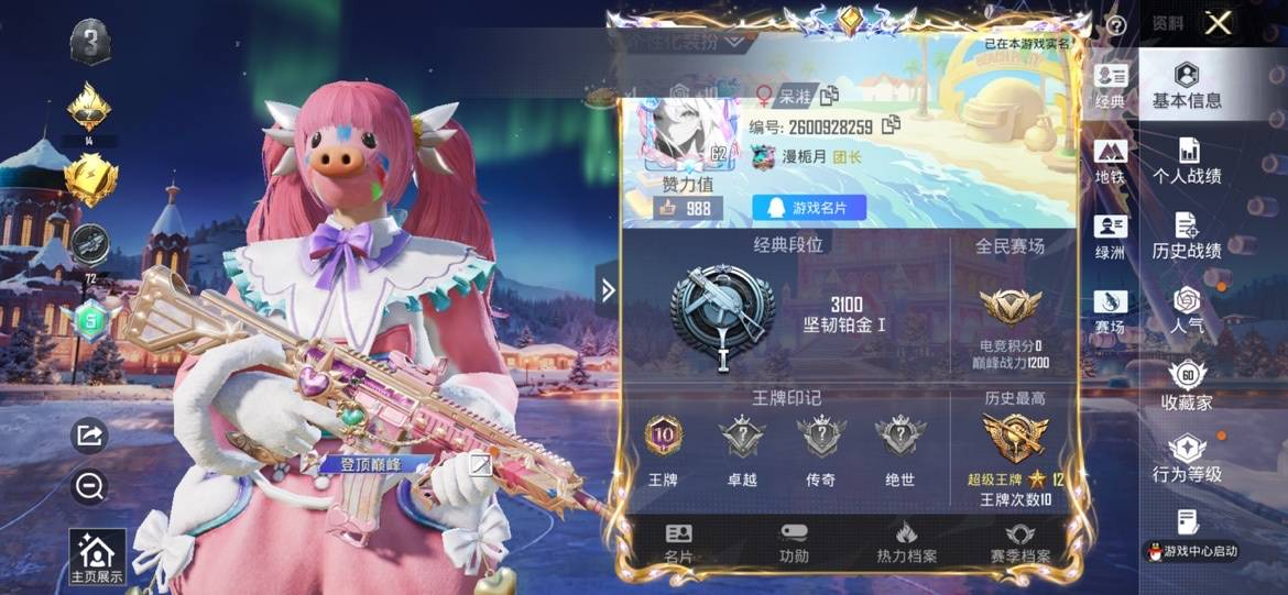 HPYXB3447970和平精英账号详情图6